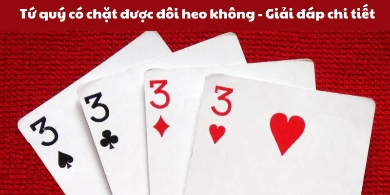 Giải đáp thắc mắc tứ quý chặt được đôi heo không